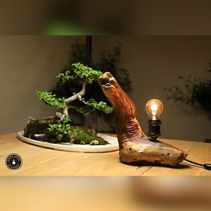 Lampe de table bois flotté avec ampoule led